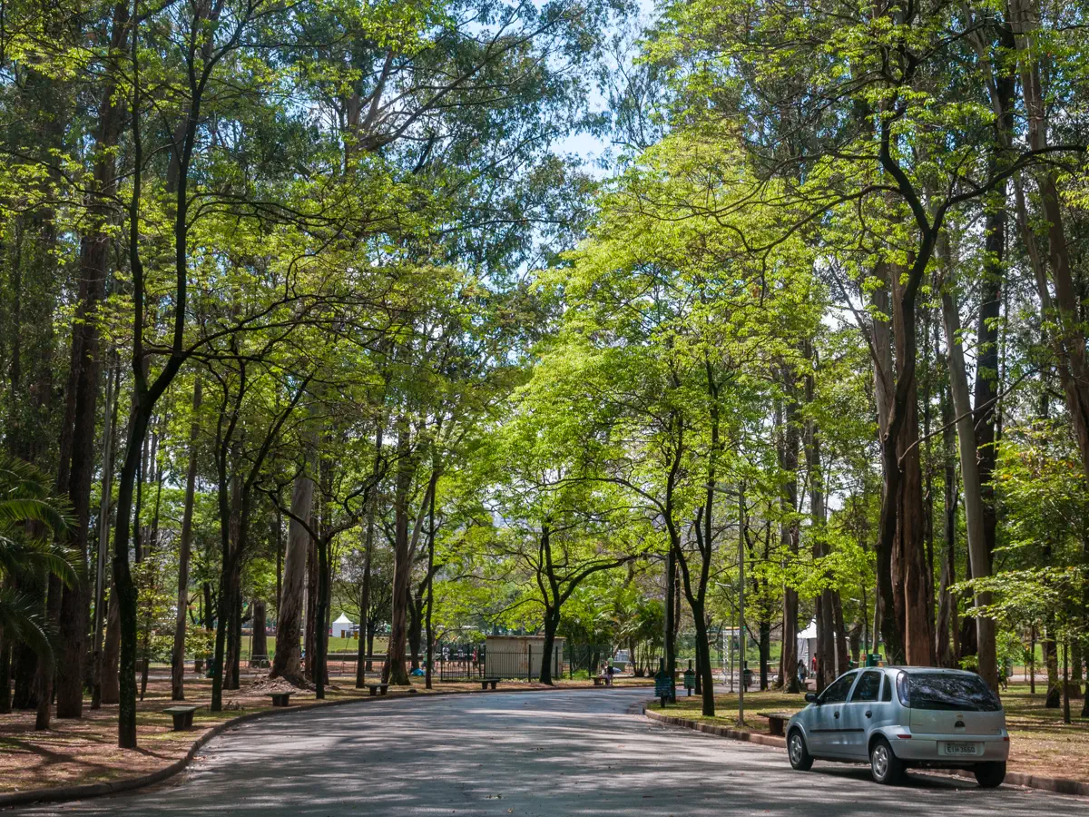 Parque Ibirapuera no Moema, São Paulo